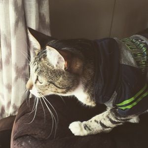 Meet your Posher, Kate